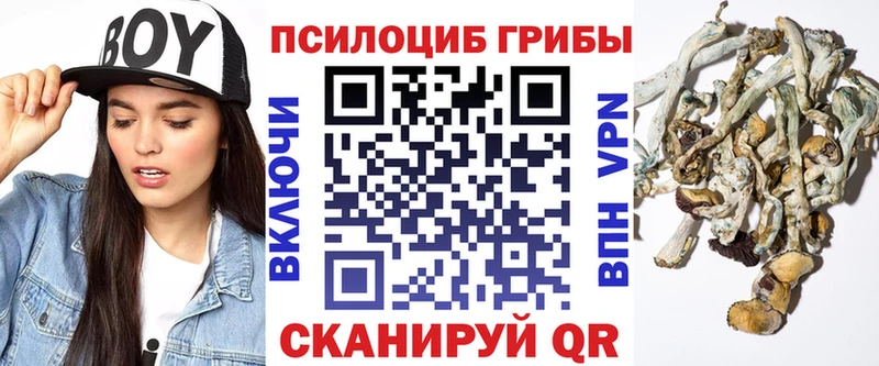 Псилоцибиновые грибы мухоморы Пятигорск